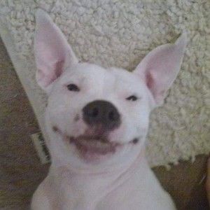 Meet your Posher, Ruth